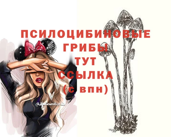 не бодяженный Абдулино