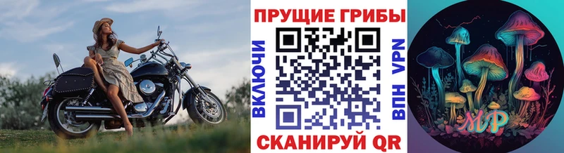Галлюциногенные грибы Psilocybe Серафимович